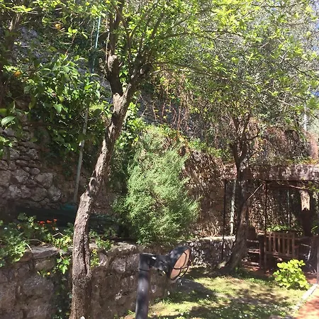 Garden *